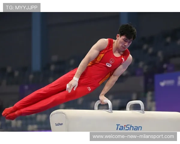 鞍马项目专家解析技巧要点，鞍马运动项目图